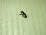 5e40ef67.jpg