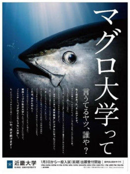 kindai01