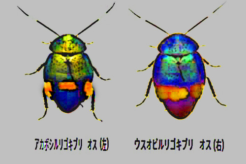 2020112401