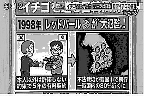 2020092209