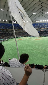 [����:f1f826c6-s.jpg]