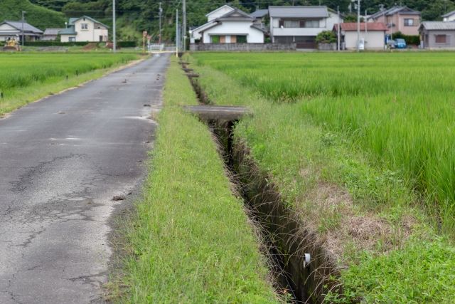 田舎道（農道）