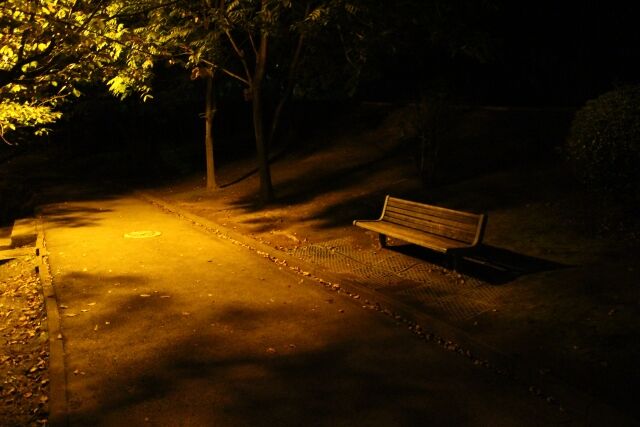 夜の公園のベンチ