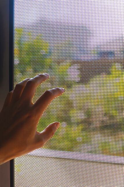 網戸に手をかける男の手