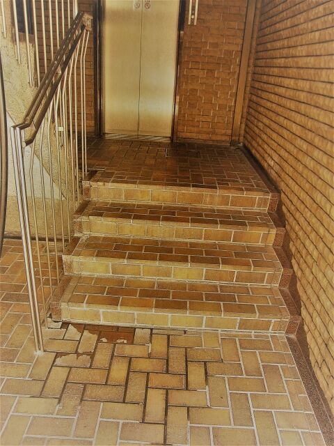 雑居ビルの階段