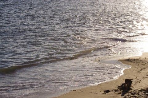海岸の波打ち際