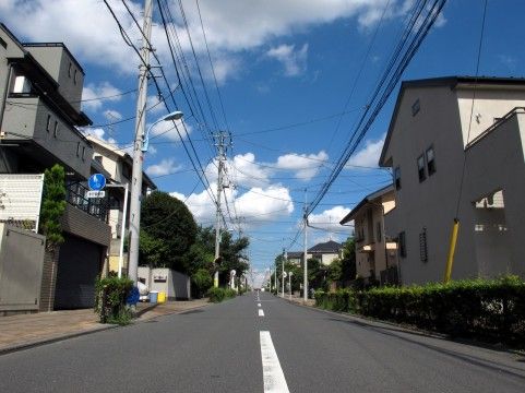 朝の住宅街の路上