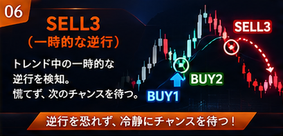 ppp6