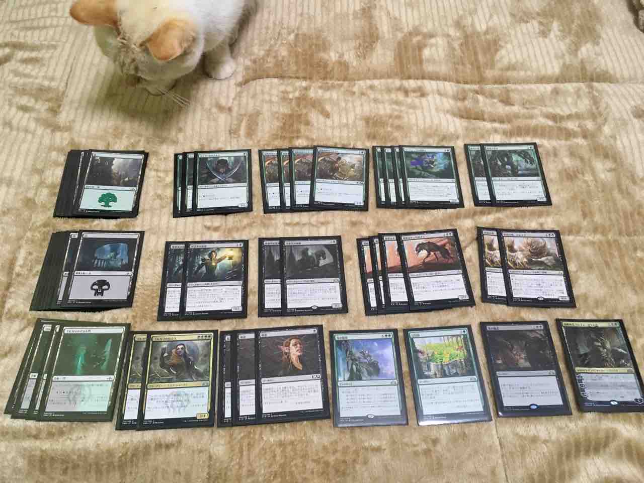 初心者がわからないなりに頑張って考えて改造したデッキができました 35歳から始めるmtg 初心者がわからないなりに頑張って考えて改造したデッキができました 35歳から始めるmtg