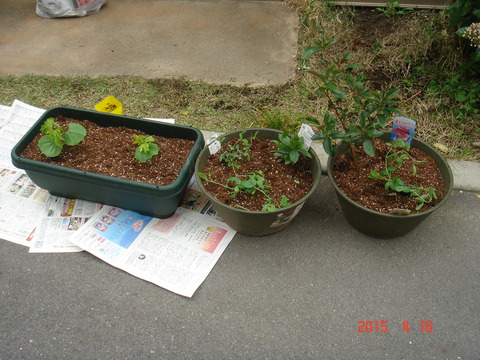 DSC06058