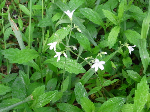 R0024976