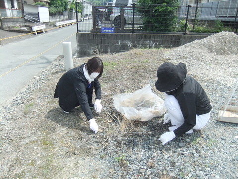 DSCF6328