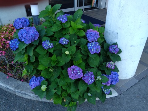 IMG_20220602_082056