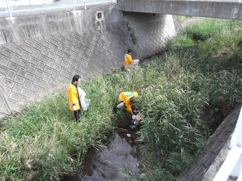 秋の町内一斉清掃