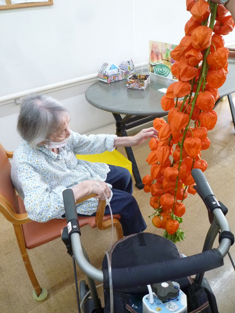 立派なほおずき 鬼灯 を飾りました ふくぶくろ せいじの地域日記