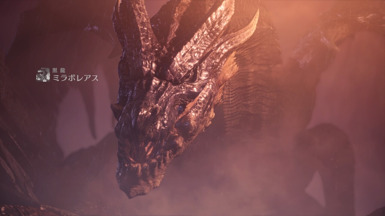 ミラボレアス 日比野生活雑記