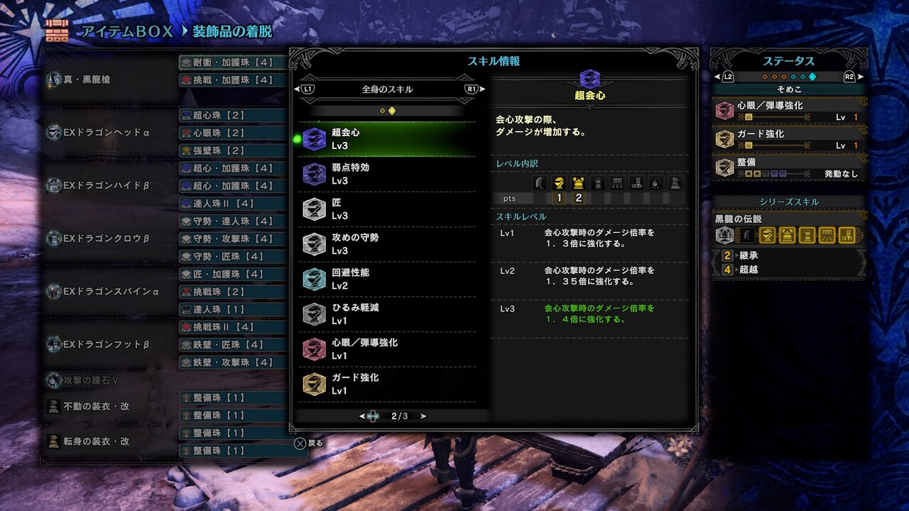 ドラゴン装備 日比野生活雑記