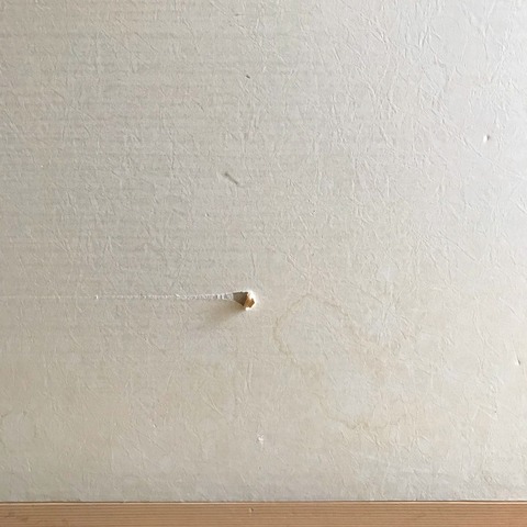 5AA5A506-10D1-4740-966D-0AED3F152BBC