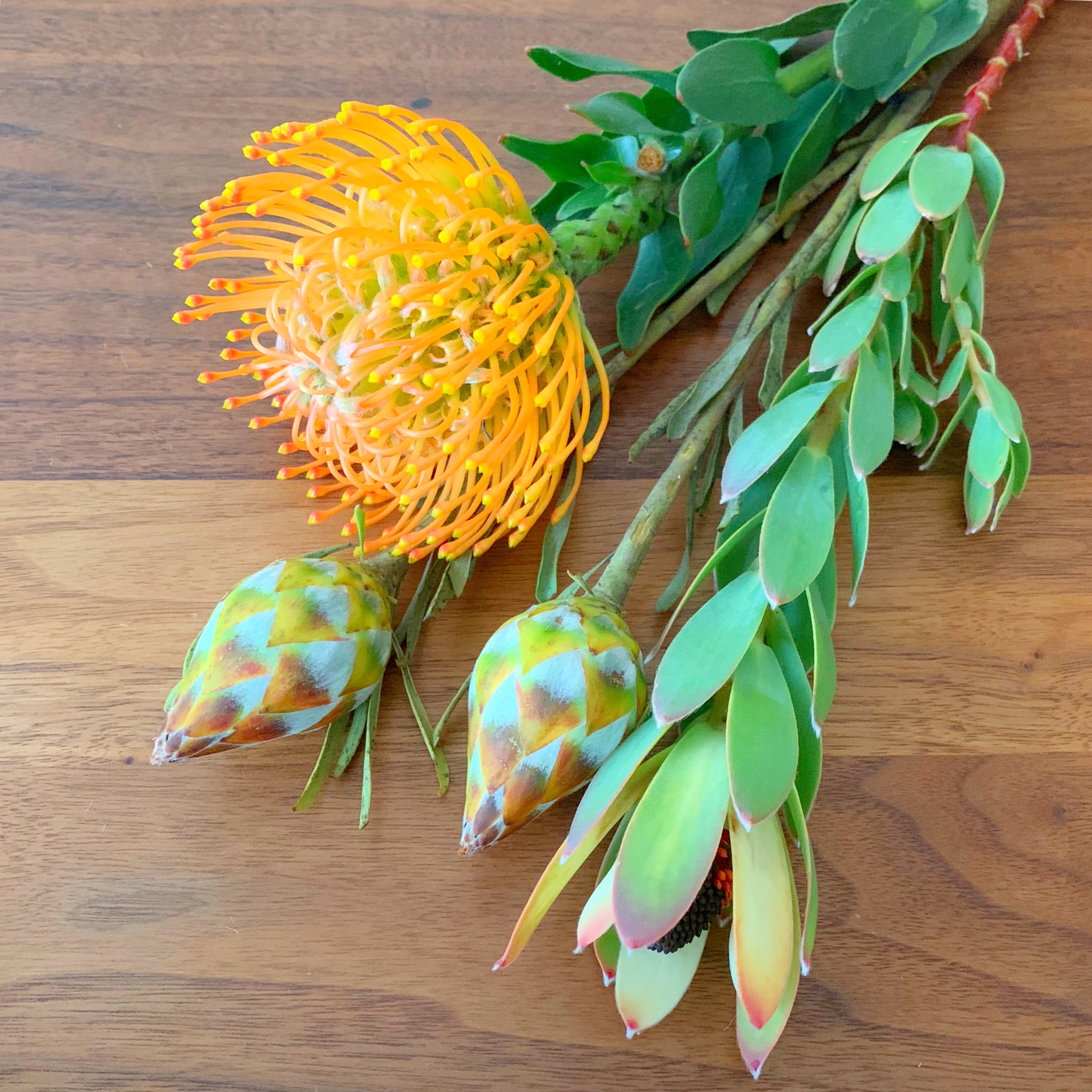 簡単 吊るすだけ 可愛い花をドライフラワーに 生活のメモ Powered By ライブドアブログ