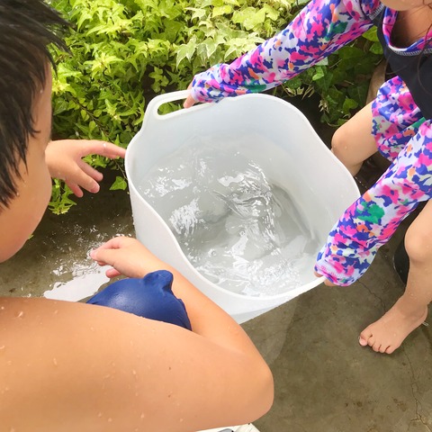 F1B7956C-2D94-4E3B-8D43-EEA0958B1F11