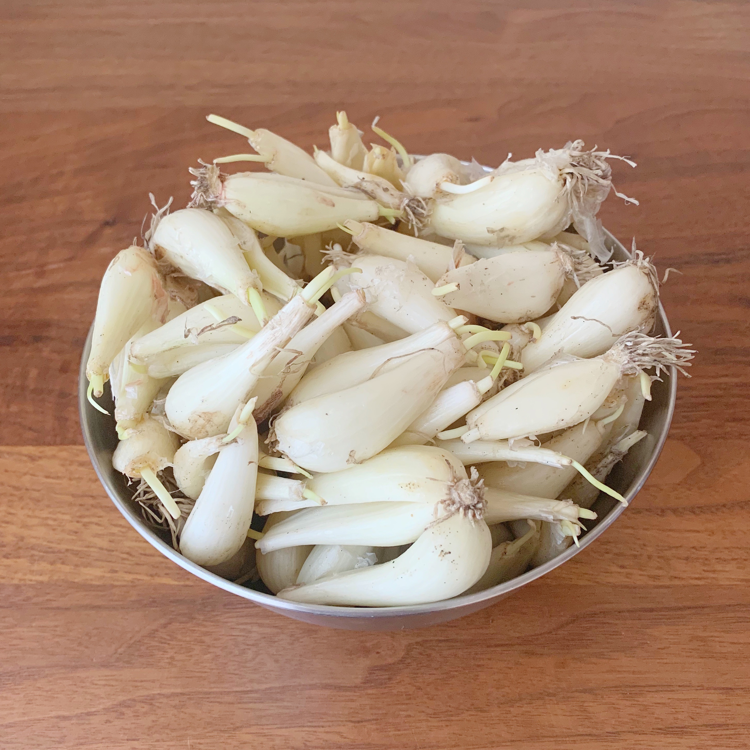 らっきょう漬け 梅仕事で残った材料を使う 生活のメモ Powered By ライブドアブログ