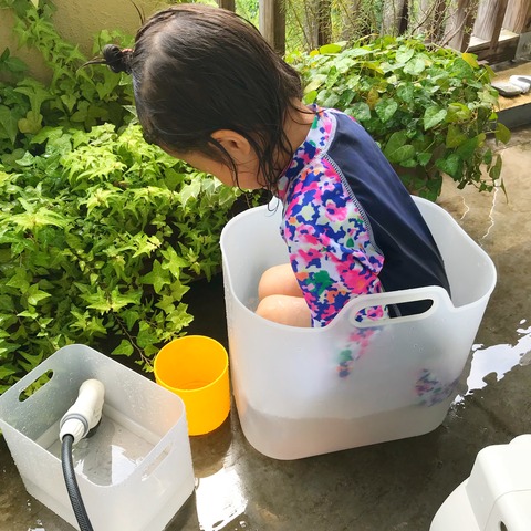 E088870A-0028-43CC-B9C0-F8822D0F0EF5