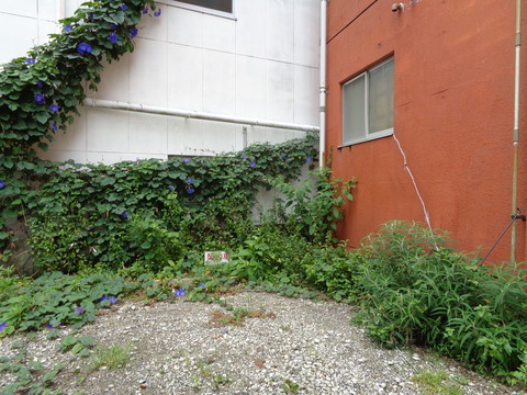 DSC00823