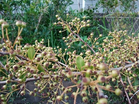 IMG_20200805_173631