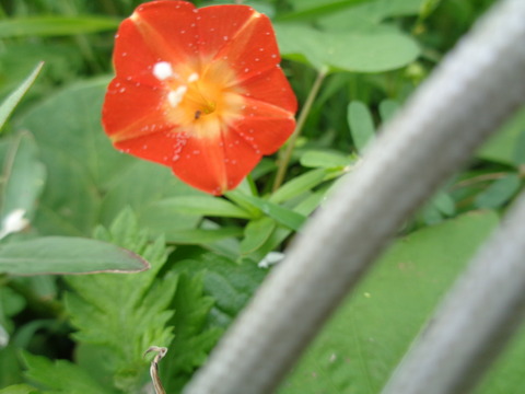 DSC01516