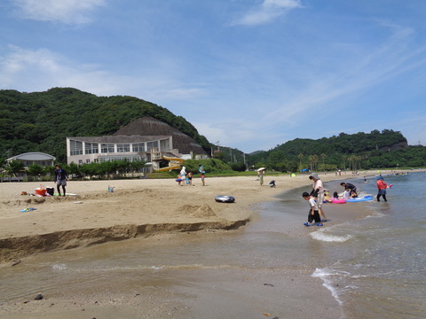DSC01154
