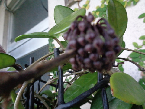 DSC01223