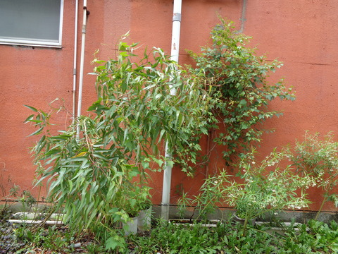 DSC00821