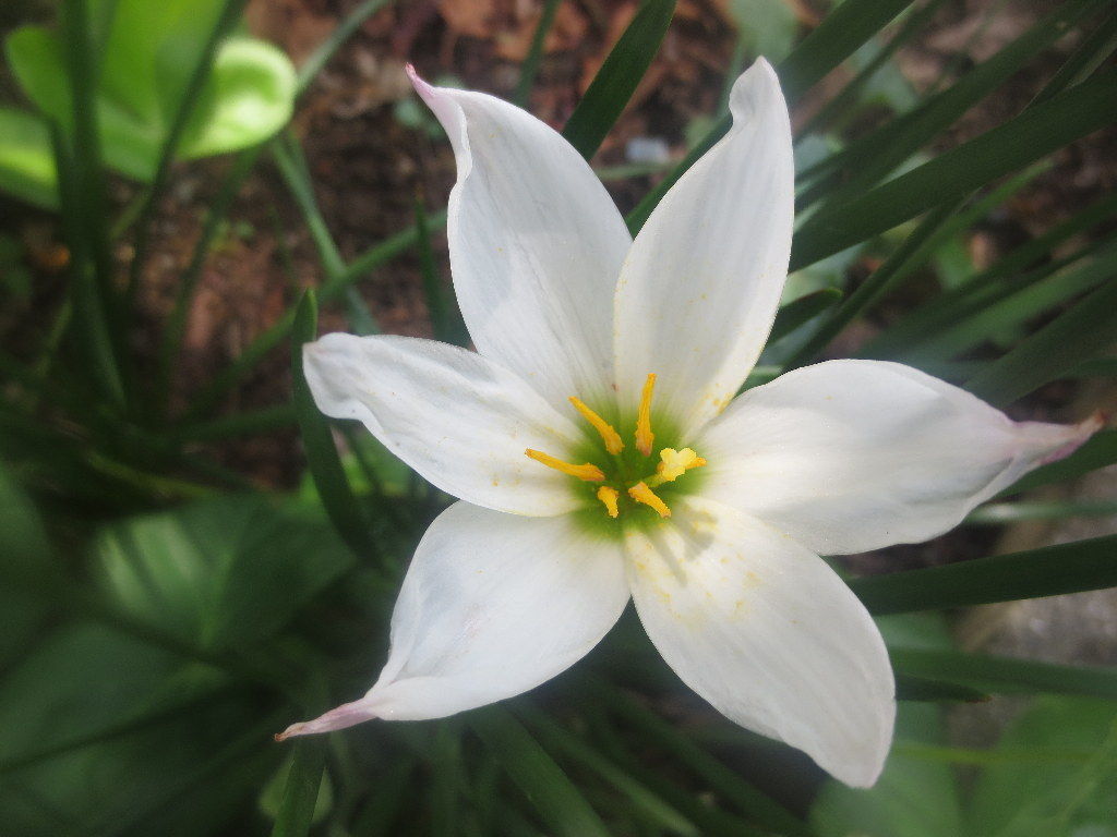 イメージ 2