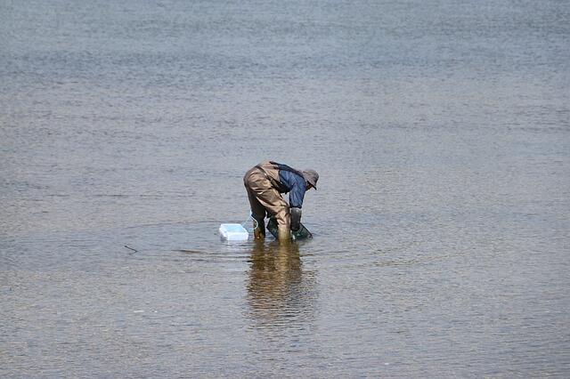 clamming-2444279_640