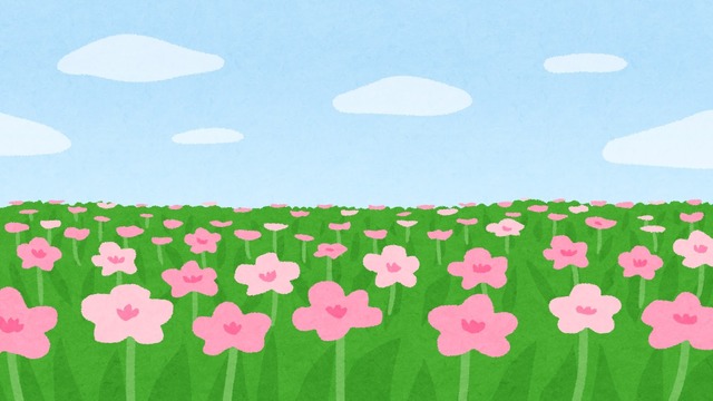 お花畑