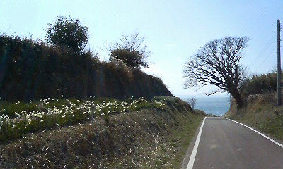 原城1.JPG