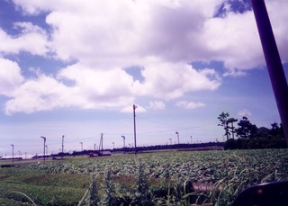 11cb8f54.jpg