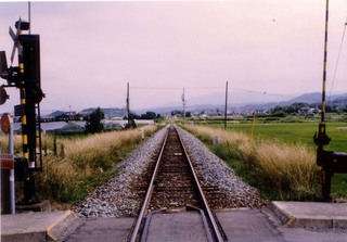 3481910f.jpg