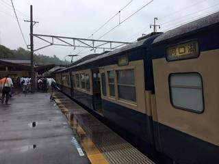 3837028a.jpg