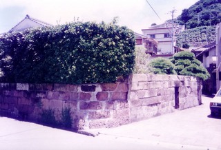 3970446d.jpg