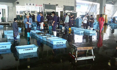 魚市場9.JPG