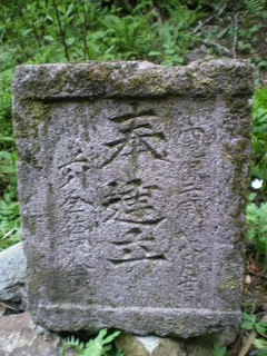 3bf678a4.jpg