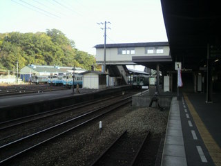 59013478.jpg