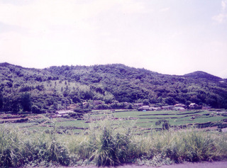 63ad50c5.jpg