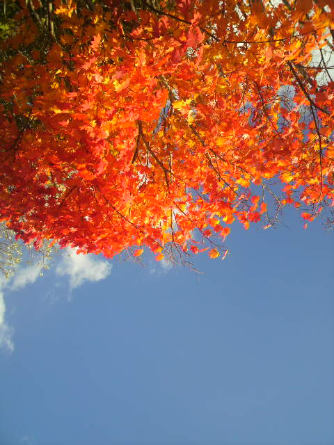 P1000035.JPG