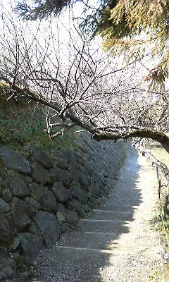 原城.JPG