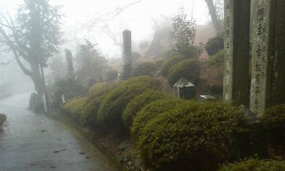P1000019.JPG