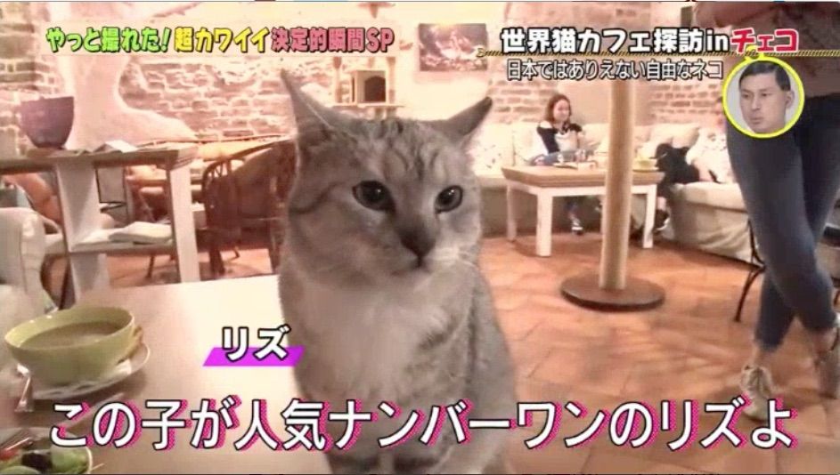リズ