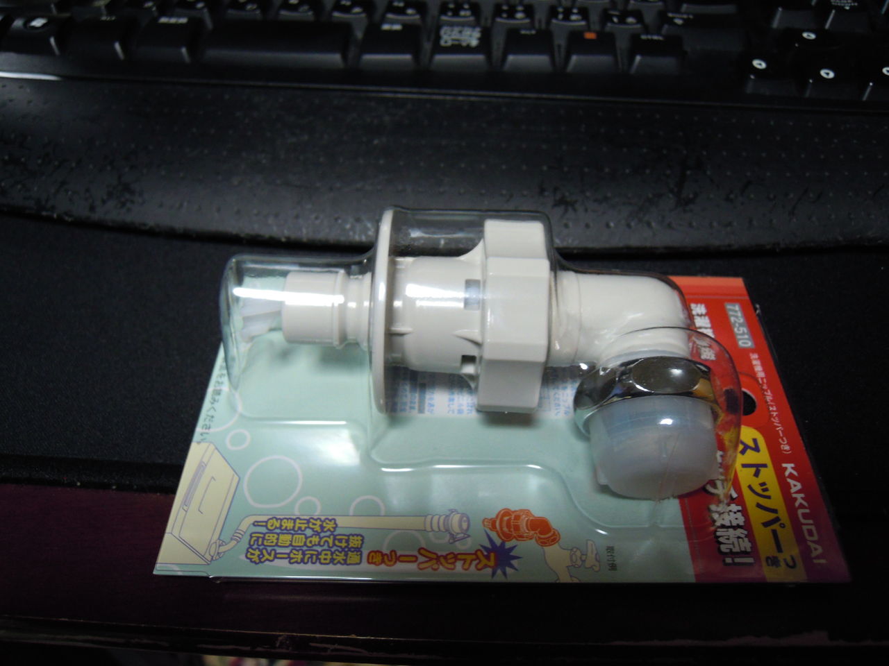 DSCN0378