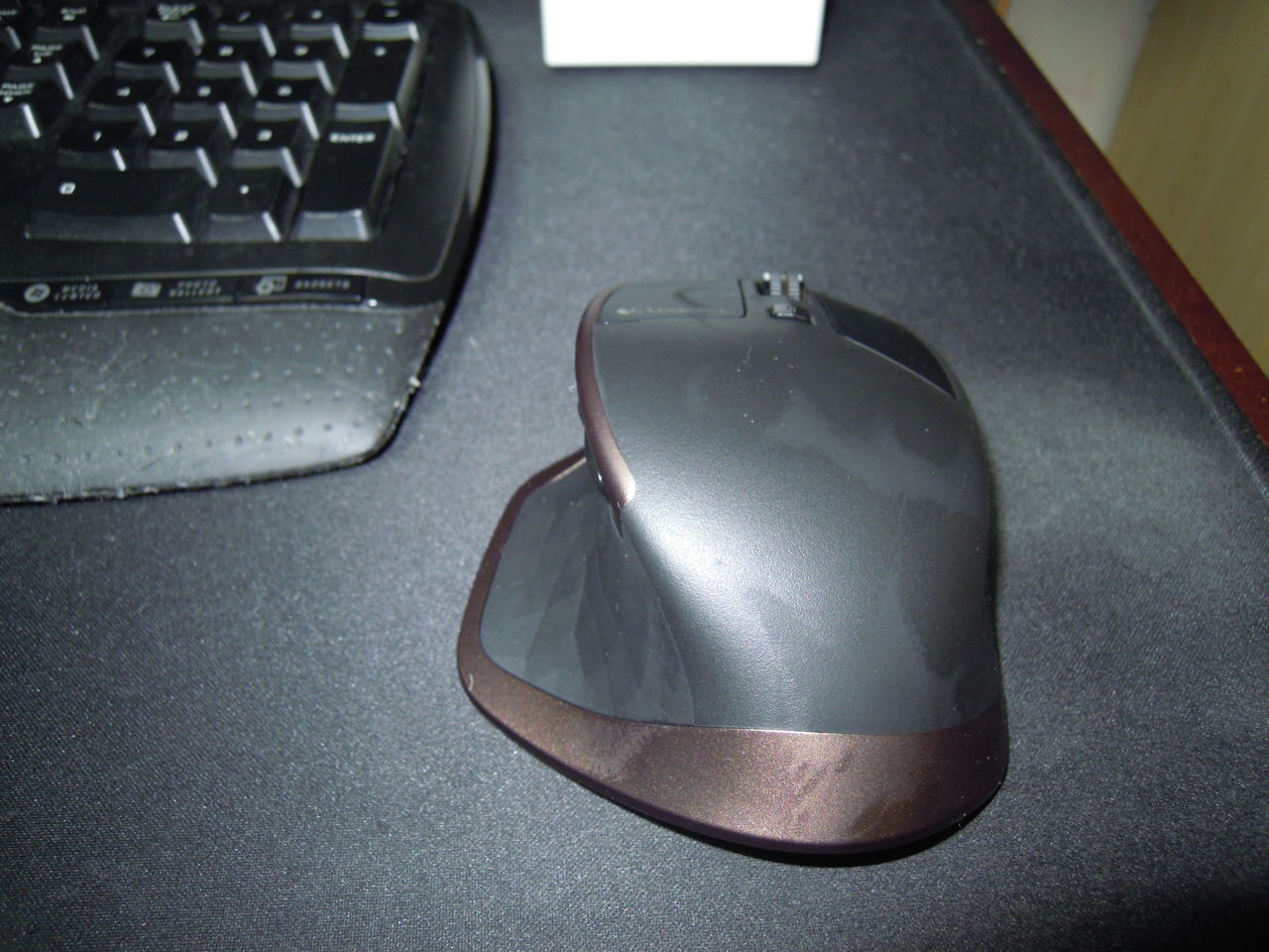 DSCN0333